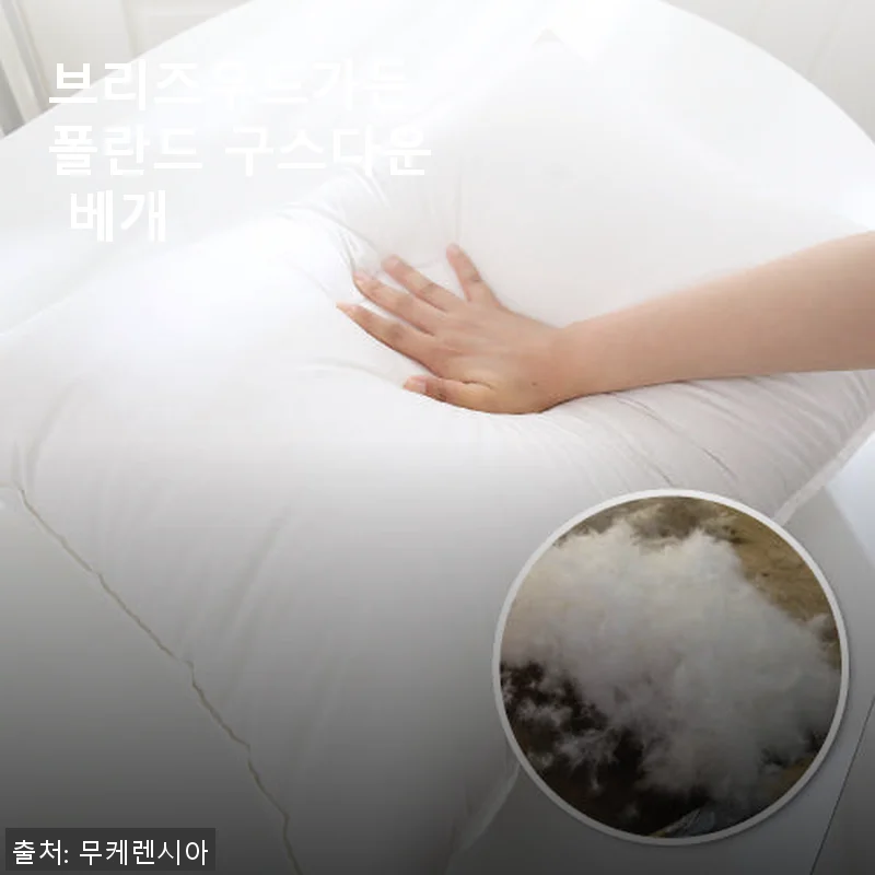 브리즈우드가든 폴란드 구스다운 베개 사용후기: 프리미엄 잠자리를 경험하다
