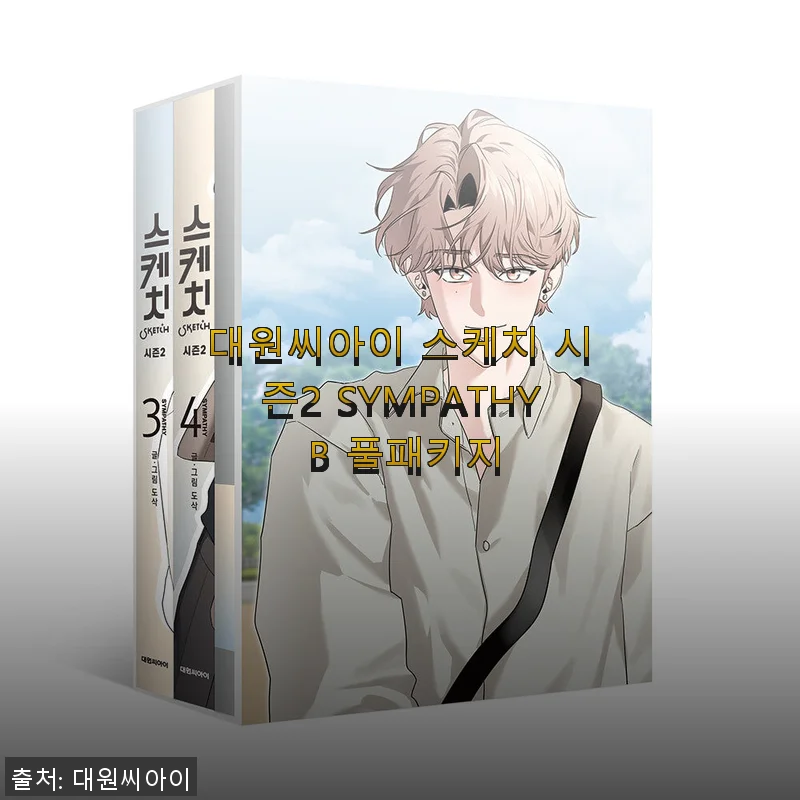 대원씨아이 스케치 시즌2 SYMPATHY B 풀패키지 사용후기