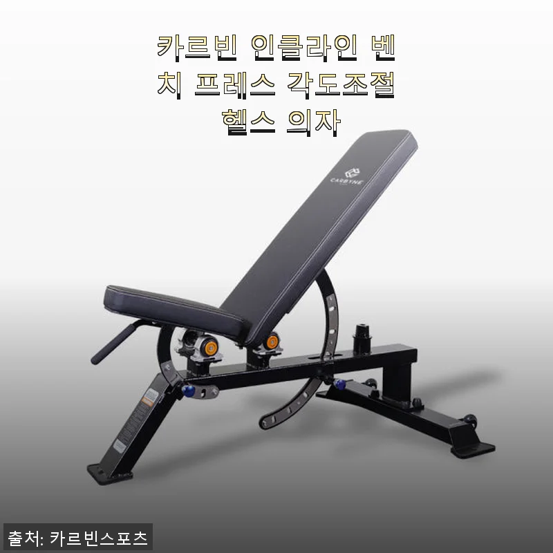 카르빈 인클라인 벤치 프레스 각도조절 헬스 의자 사용후기