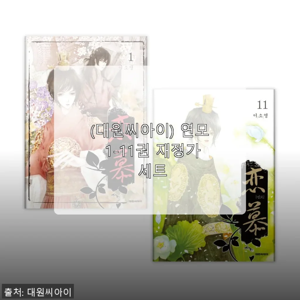 연모 1-11권 재정가 세트 사용후기: 감성 가득한 역사 로맨스의 매력에 빠지다