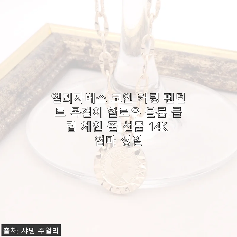 엘리자베스 코인 커팅 펜던트 목걸이 사용후기: 14K 볼륨 클립 체인으로 완성한 특별한 선물