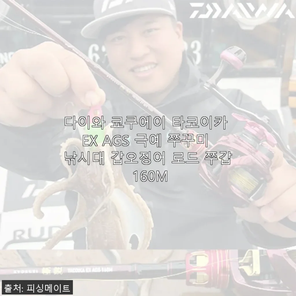 다이와 쿄쿠에이 타코이카 EX AGS 극예 쭈꾸미 낚시대 사용 후기