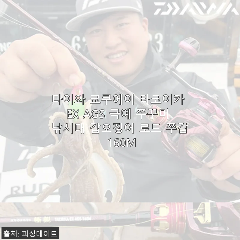 다이와 쿄쿠에이 타코이카 EX AGS 극예 쭈꾸미 낚시대 사용 후기