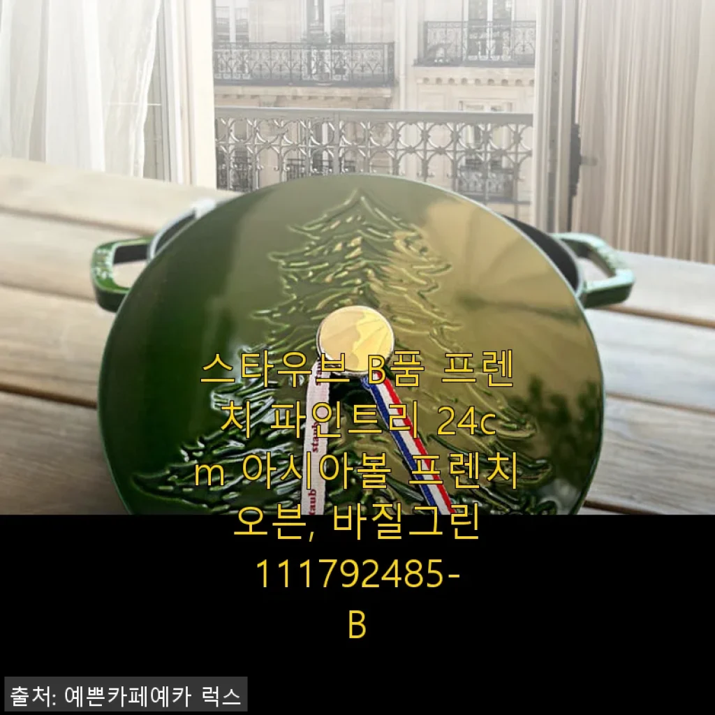 스타우브 B품 프렌치 파인트리 24cm 아시아볼 바질그린 사용 후기