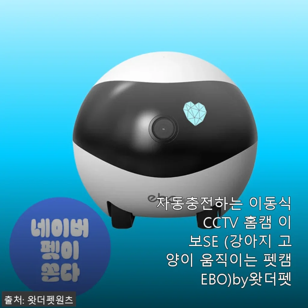 자동충전 이동식 CCTV ‘이보SE’ 사용후기, 반려동물과 가족을 위한 스마트 홈캠