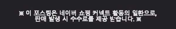 버버리 빈티지체크 로고 나일론 소니 벨트백 힙색 사용 후기 11 이해관계문구