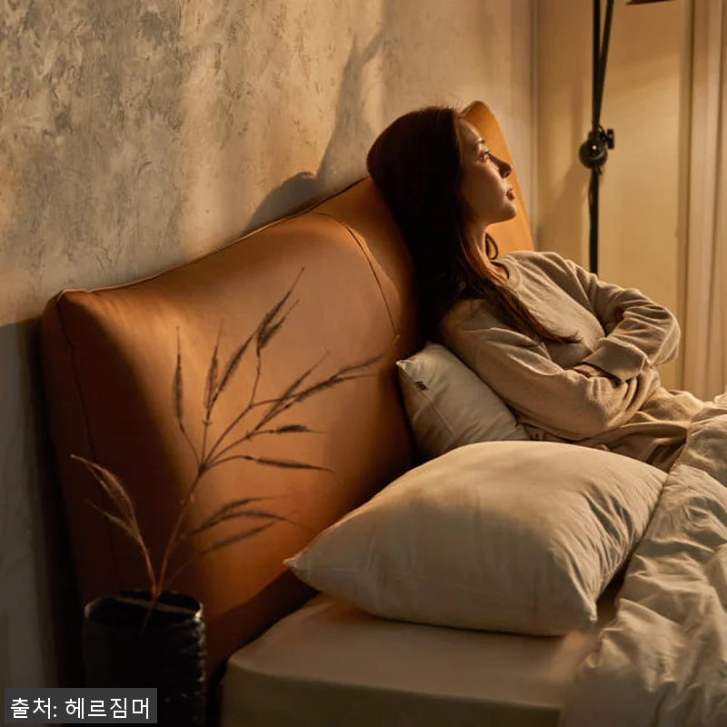 헤르짐머 에보니 천연가죽 호텔 침대 관련 이미지 4