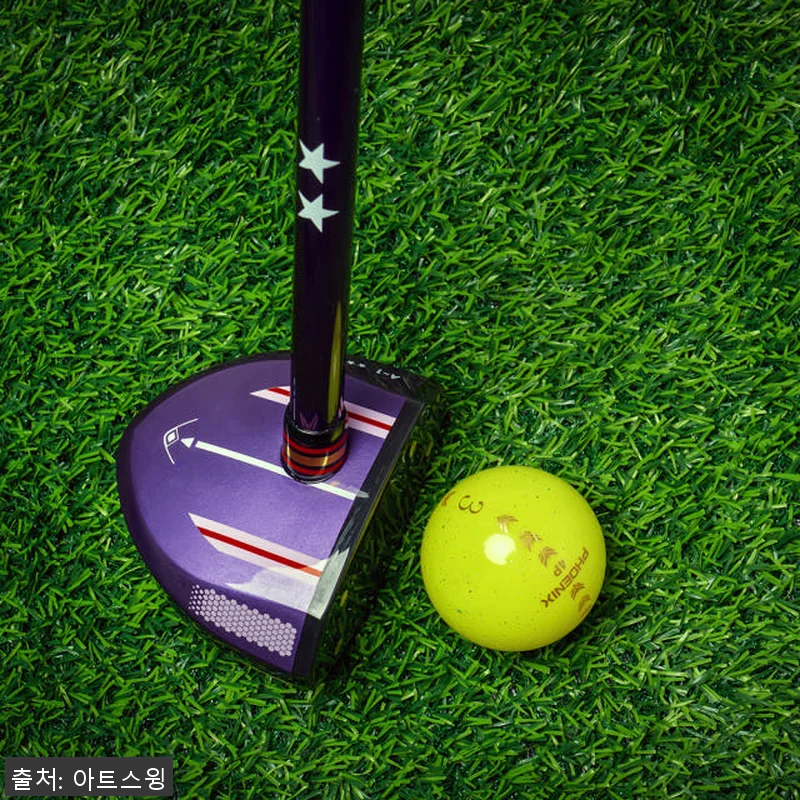피닉스 파크골프채 A-1 풀세트 사용 관련 이미지 8