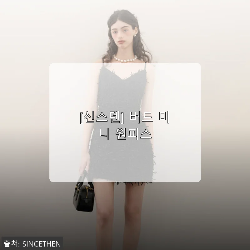 신스덴 버드 미니 원피스 사용후기: 겨울철 스타일 완성에 딱인 아이템