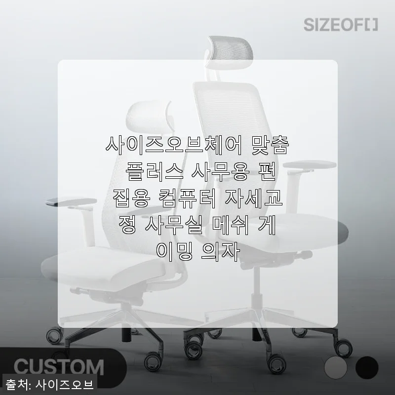 사이즈오브체어 맞춤 플러스 사무용 컴퓨터 자세교정 의자, 한 달 사용 후 솔직 후기