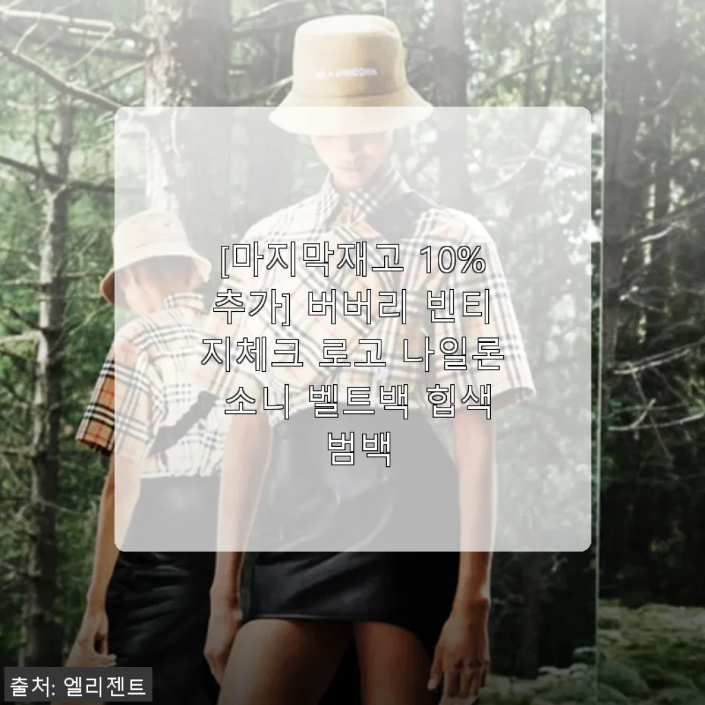 버버리 빈티지체크 로고 나일론 소니 벨트백 힙색 사용 후기