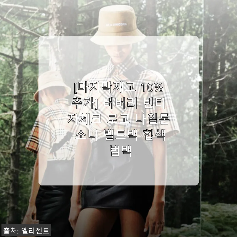 버버리 빈티지체크 로고 나일론 소니 벨트백 힙색 사용 후기