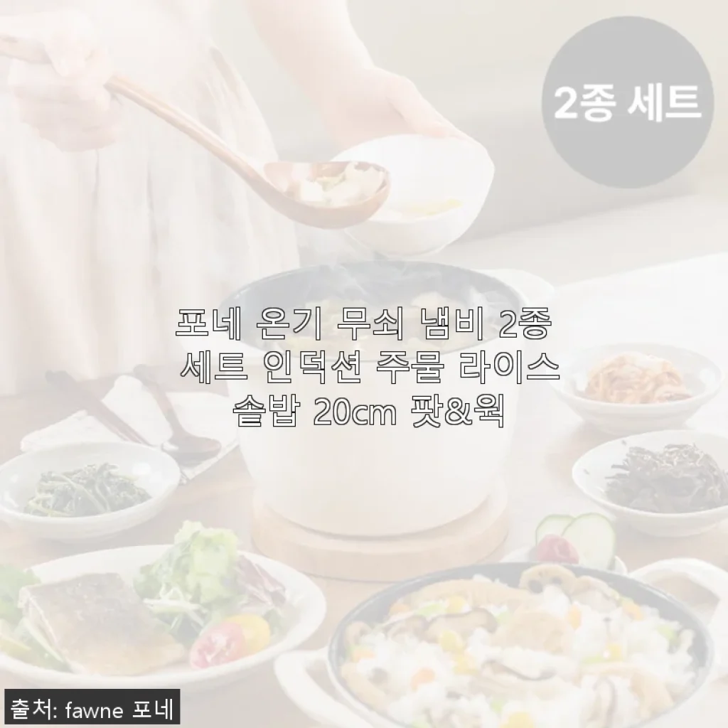 포네 온기 무쇠 냄비 2종 세트 사용 후기: 인덕션도 OK, 솥밥도 완벽한 만능 주물 냄비