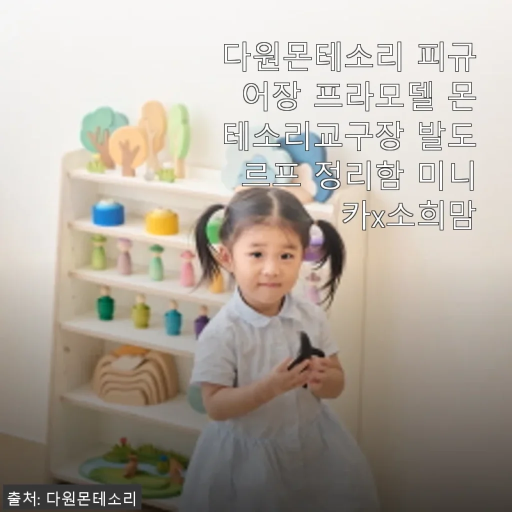 다원몬테소리 피규어장 프라모델 몬테소리교구장 발도르프 정리함 사용후기