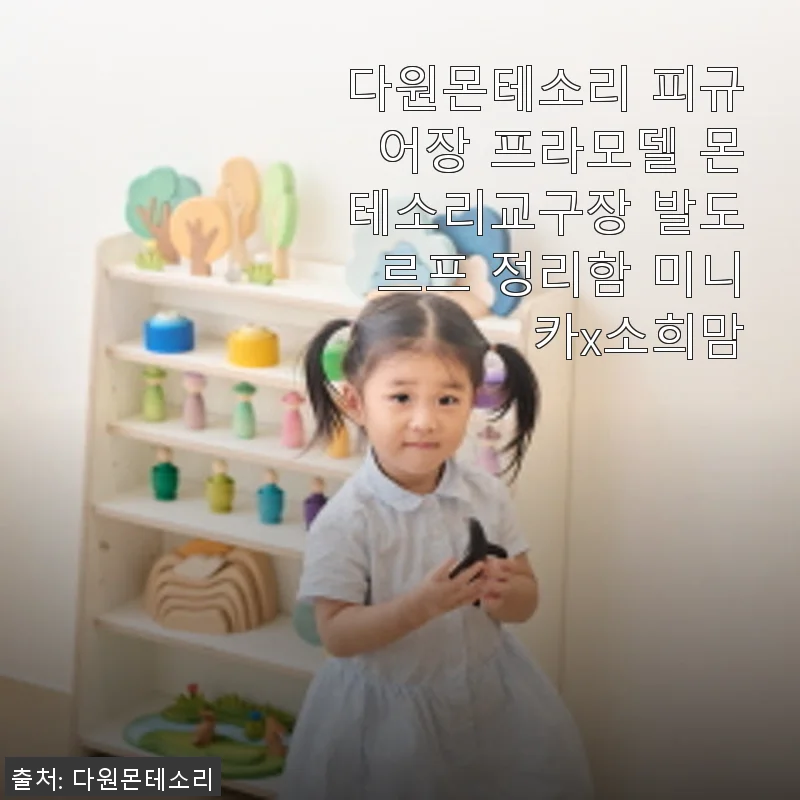 다원몬테소리 피규어장 프라모델 몬테소리교구장 발도르프 정리함 사용후기