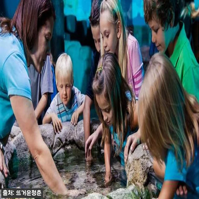 미국 올랜도 씨라이프 아쿠아리움 입장 관련 이미지 1