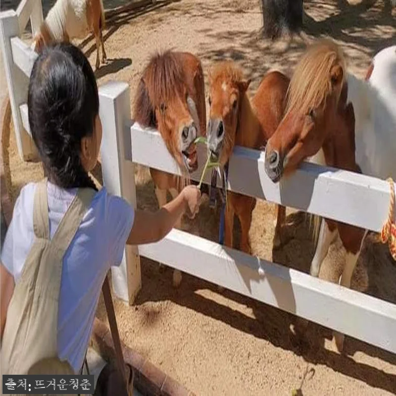 태국 수완풍 프라이빗 차량투어, 방콕 관련 이미지 1