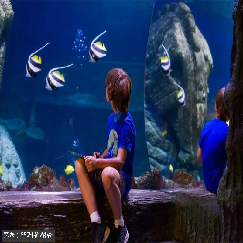 독일 뮌헨 씨라이프 뮌헨 입장권, 바우처 발권 방식까지 체크한 여행 준비템 7 독일 뮌헨 씨라이프 뮌헨 입장권, 바 관련 이미지 2