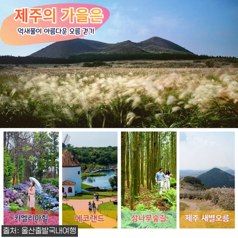 [가을제주특선] 제주알뜰특선 3박4일 관련 이미지 3