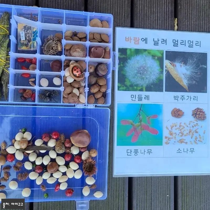 북서울꿈의숲 어린이 할로윈 체험 찐후기 체크! 가을밤 추억 만들기 좋은 숲파티포레 체험 14 북서울꿈의숲 어린이 할로윈 체험 찐후 관련 이미지 3