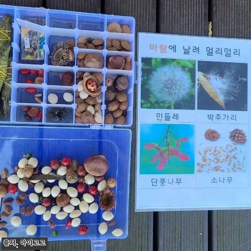 양재 매헌시민의숲 하남나무고아원 어린 관련 이미지 3