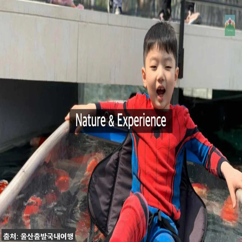 가을 강원도 여행 찐후기형 안내, 청풍호 유람선부터 가리왕산 케이블카까지 1박2일 22 가을 강원도 여행 찐후기형 안내, 청 관련 이미지 10