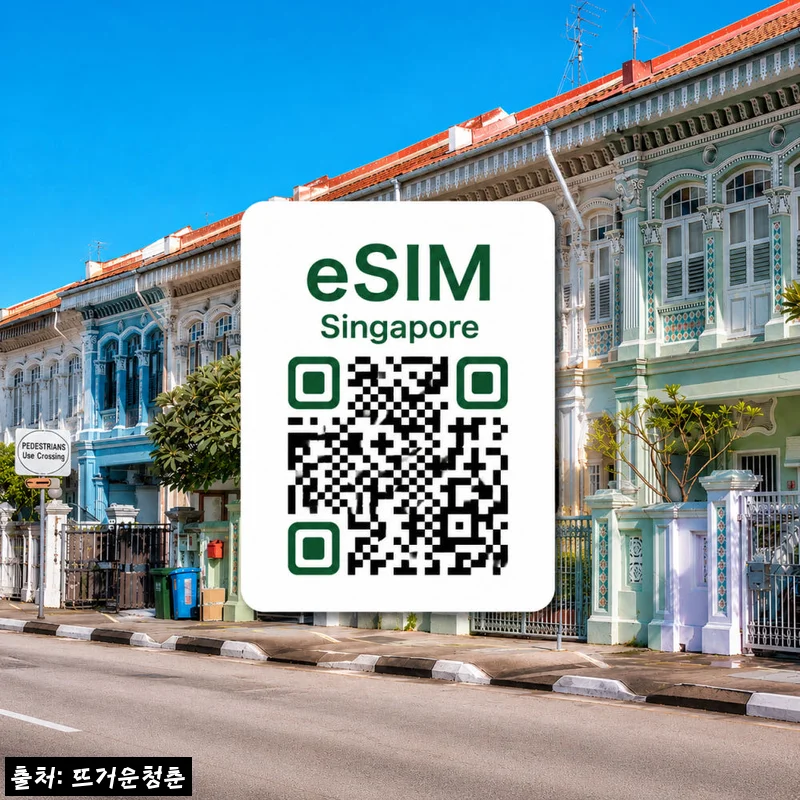 싱가포르 이심 eSIM 이심통, 출국 전 데이터 준비용으로 체크한 Singtel 5G 플랜