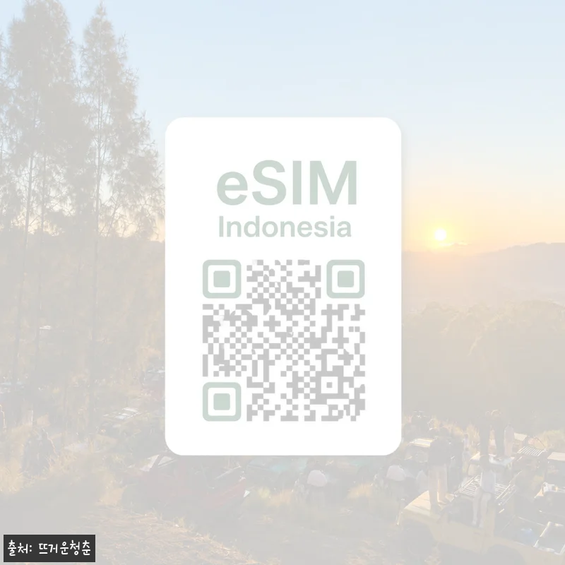 인도네시아 이심 eSIM 데이터 전용 데일리 무제한 이심통, 발리 여행 전 체크해본 핵심 정보