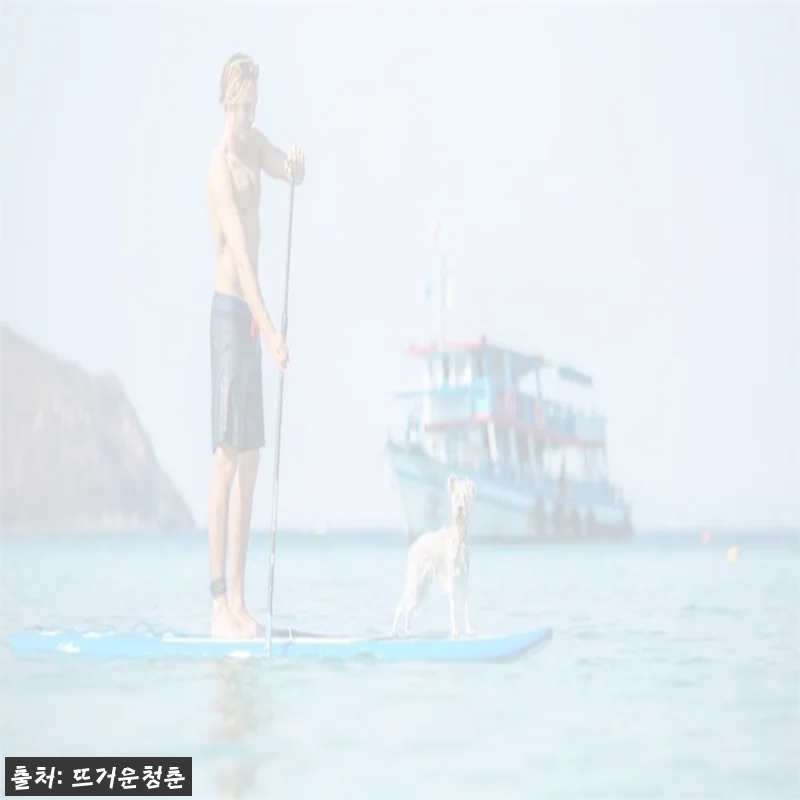 Home 61 태국 후아힌 스탠드업 패들보드 & 서핑 보드 체험, 9,000원부터 만나는 바다 액티비티 체크후기