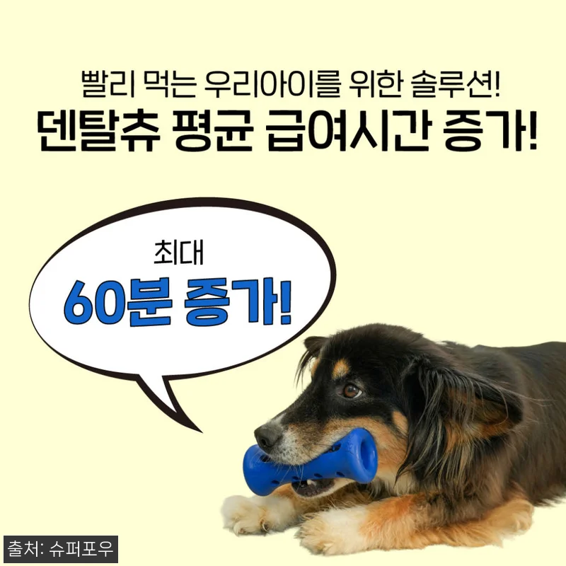 1시간 노즈워크 장난감 오래먹는 덴탈 관련 이미지 1