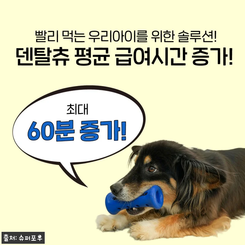 1시간 노즈워크 장난감 슈퍼포우 덴탈 관련 이미지 1