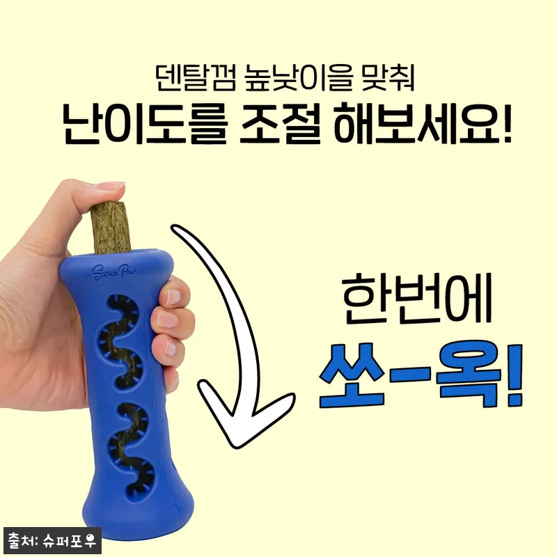 1시간 노즈워크 장난감 슈퍼포우 덴탈 관련 이미지 2