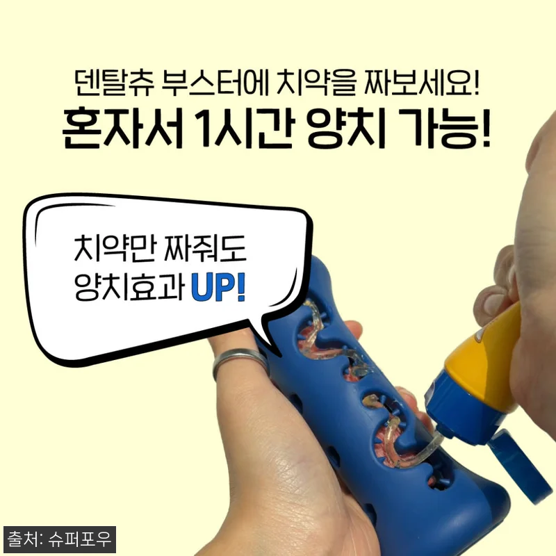 1시간 노즈워크 장난감 오래먹는 덴탈 관련 이미지 4