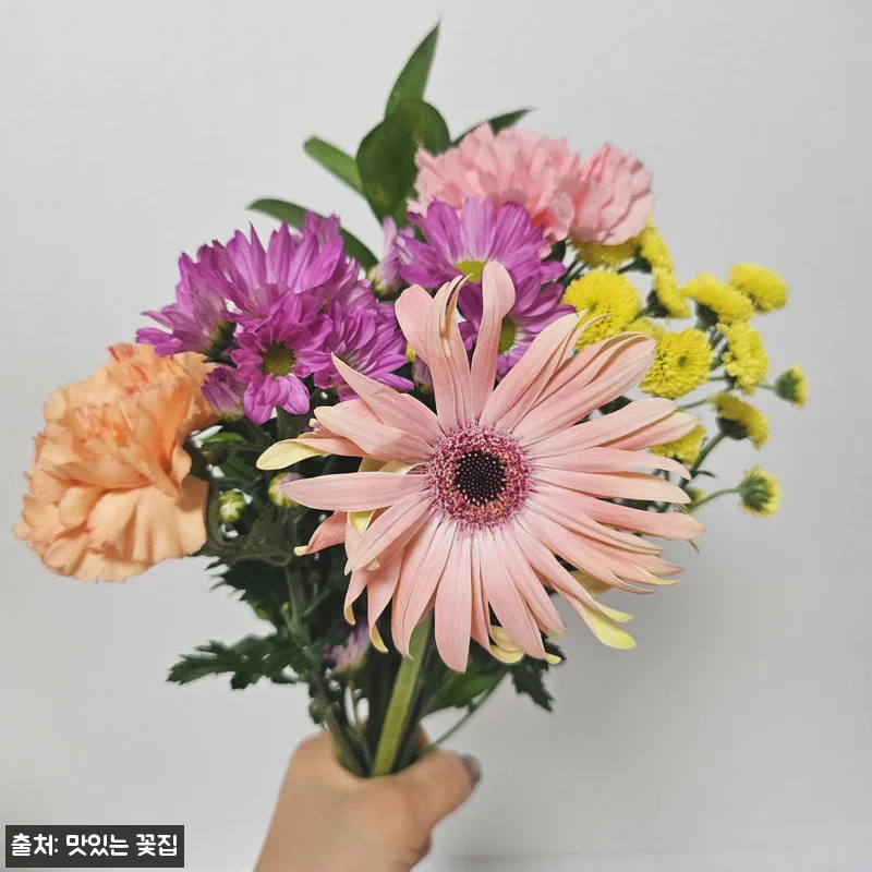 계절꽃 꽃구독 정기꽃배달 생화꽃다발, 12,900원 무료배송으로 일상에 꽃 더하는 방법 16 계절꽃 꽃구독 정기꽃배달 생화꽃다발, 관련 이미지 5