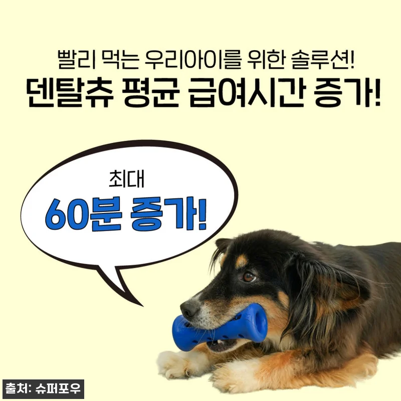 1시간 노즈워크 장난감 오래먹는 덴탈 관련 이미지 5