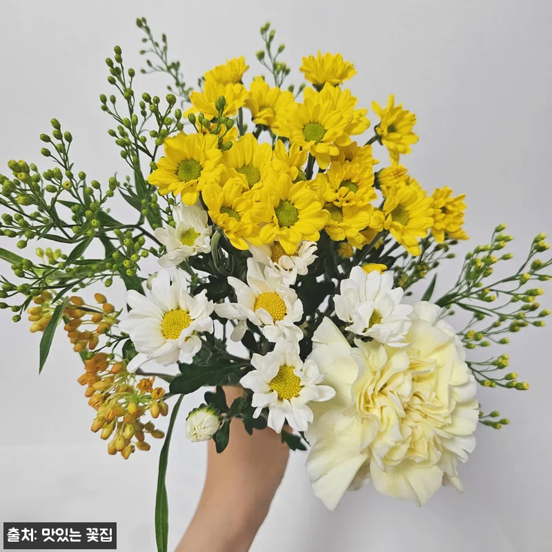 계절꽃 꽃구독 정기꽃배달 생화꽃다발, 12,900원 무료배송으로 일상에 꽃 더하는 방법 18 계절꽃 꽃구독 정기꽃배달 생화꽃다발, 관련 이미지 7