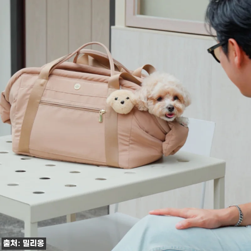 베이글 코지백 쿠션가방, 바닥 처짐 관련 이미지 7
