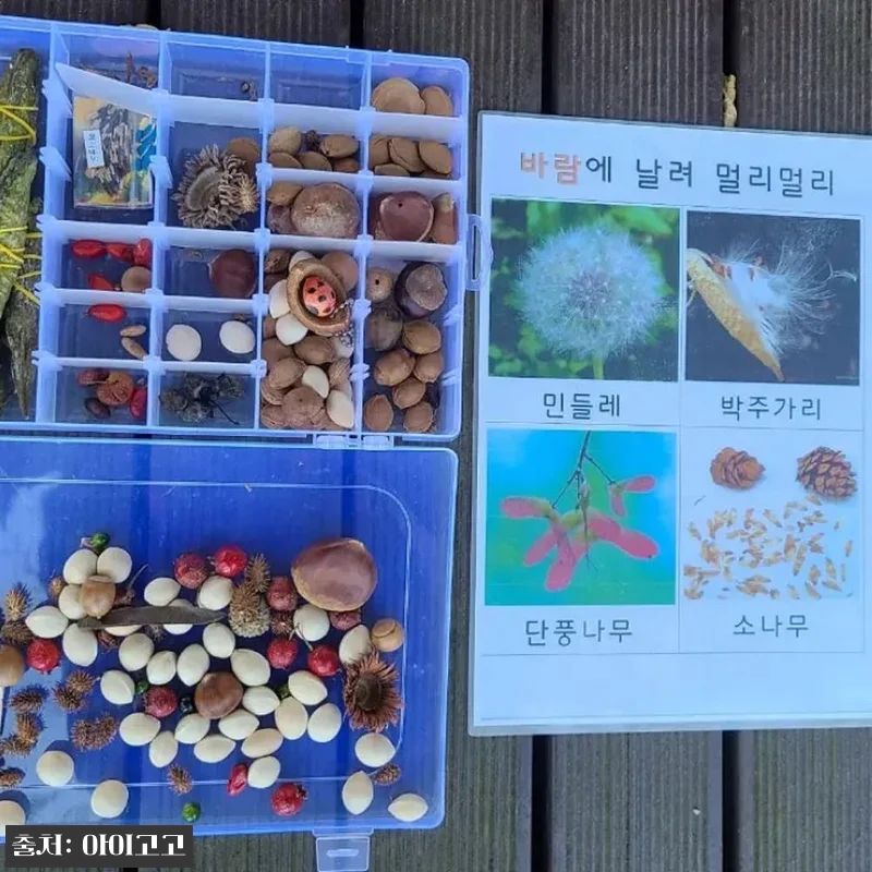분당중앙공원&middot;판교도서관 어린이 할로윈 관련 이미지 8
