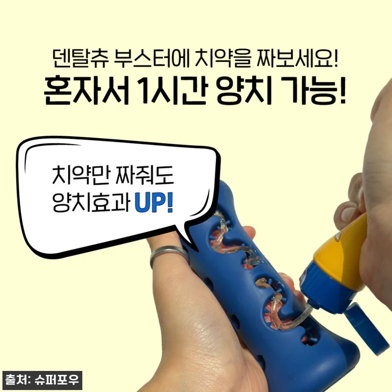 1시간 노즈워크 장난감 오래먹는 덴탈 관련 이미지 8