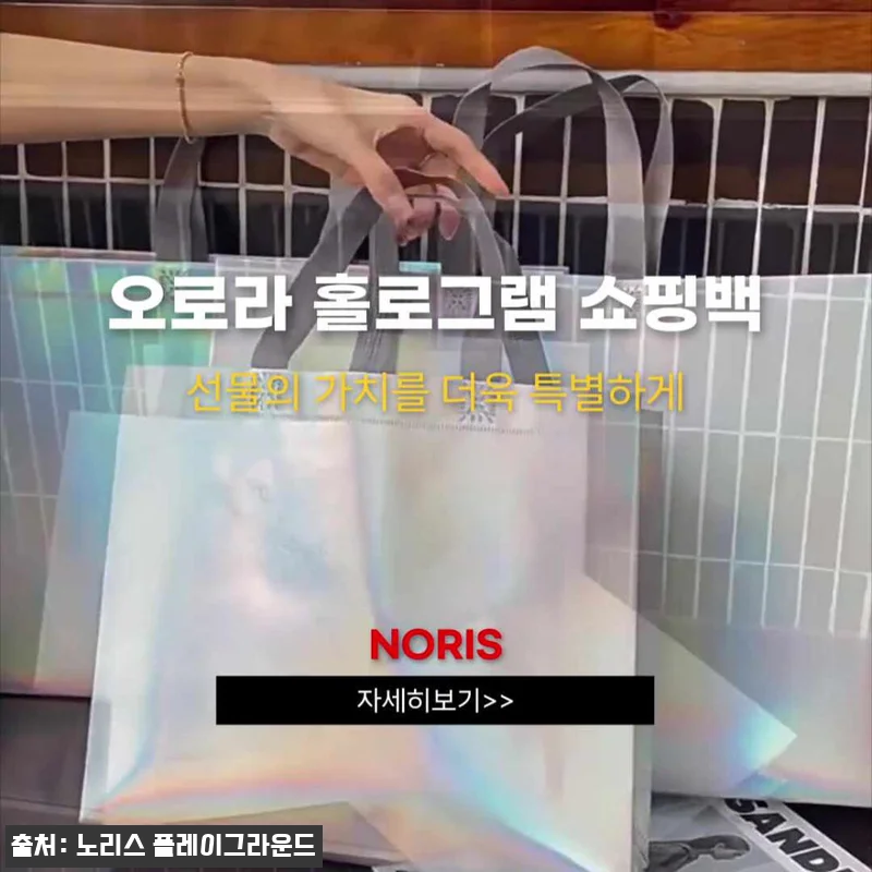 홀로그램 부직포 쇼핑백 3호 가로형 32x27x10, 520원 선물포장용으로 눈여겨볼 이슈템 20 홀로그램 부직포 쇼핑백 3호 가로형 관련 이미지 9