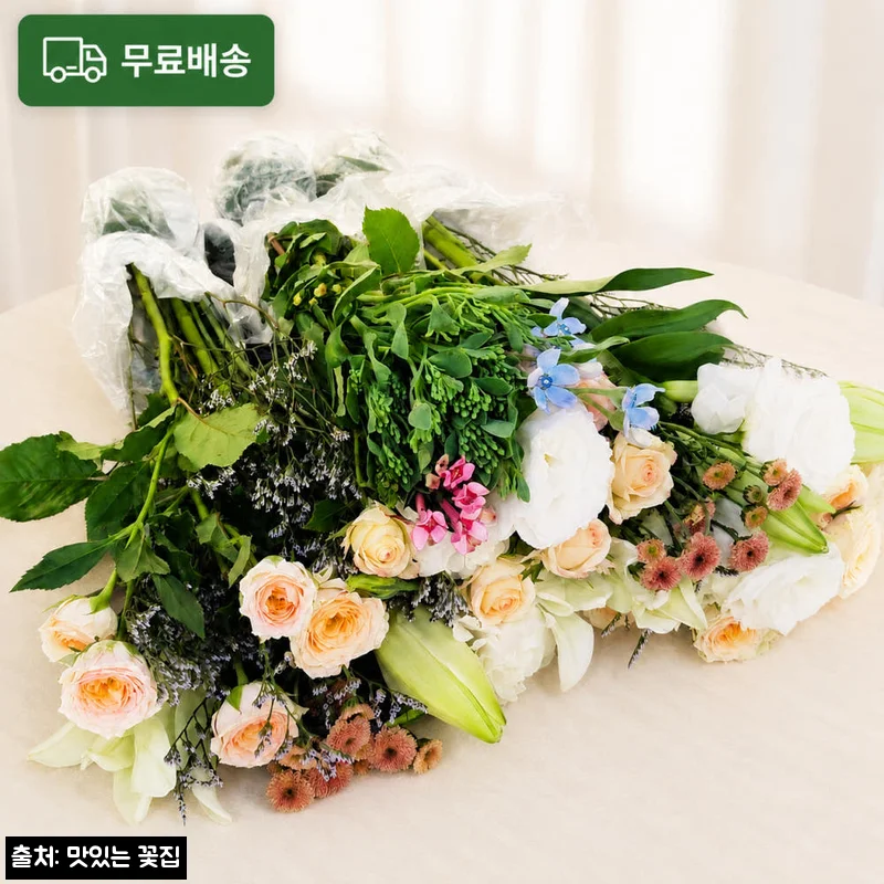 Home 55 계절꽃 꽃구독 정기꽃배달 생화꽃다발, 12,900원 무료배송으로 일상에 꽃 더하는 방법
