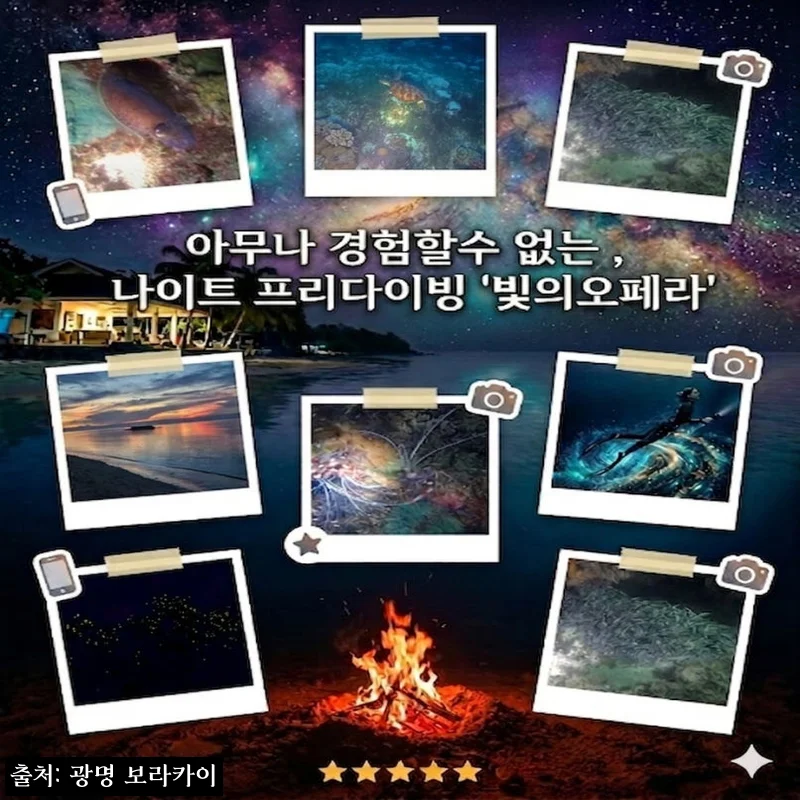 [보홀] 빛의 오페라 나이트 프리다이빙 체험투어 찐후기, 선셋부터 발광플랑크톤&middot;모닥불까지