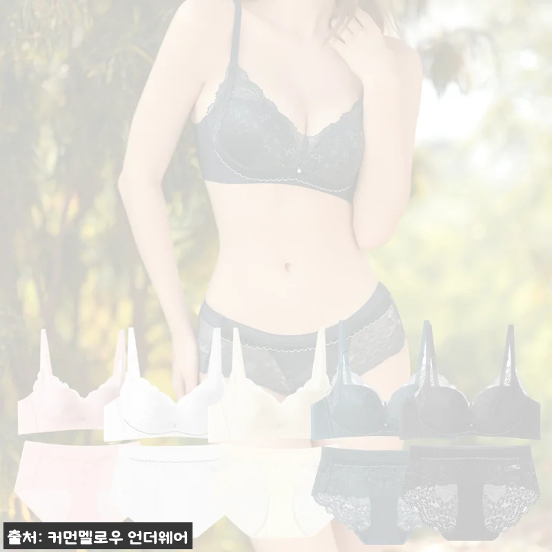 브라5+팬티5 노와이어브라 소프트 레이스 세트, 10종 구성으로 챙기는 데일리 언더웨어