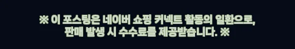 아이오와 박스핏 반팔티, 여름 오버핏 코디에 딱! 20% 할인 중인 에이오알닷 이슈템 11 이해관계문구