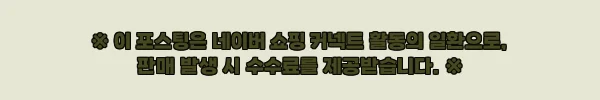 홀로그램 부직포 쇼핑백 3호 가로형 32x27x10, 520원 선물포장용으로 눈여겨볼 이슈템 11 이해관계문구